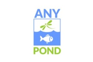 Any Pond