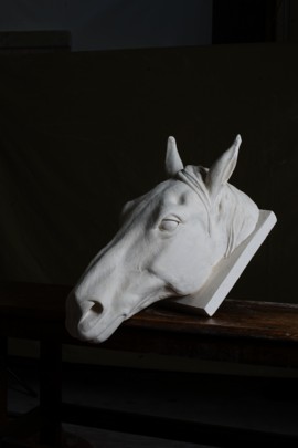 Bespoke Equine Portrait