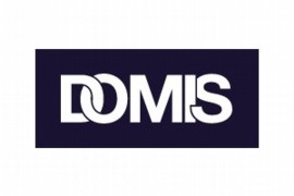 Domis Construction Ltd