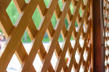 Fencing and Trellis