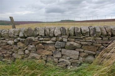 Dry Stone Walls