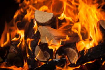 Logs & Firewood