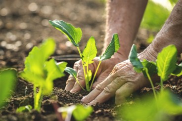 Gardeners