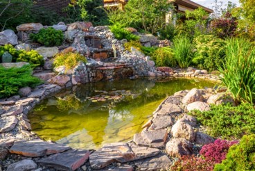 Ponds & Water Features