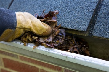 Gutter Cleaning